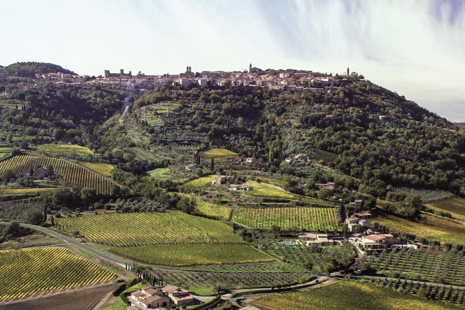 Fattoria vinicola di lusso a 2 km da Montalcino