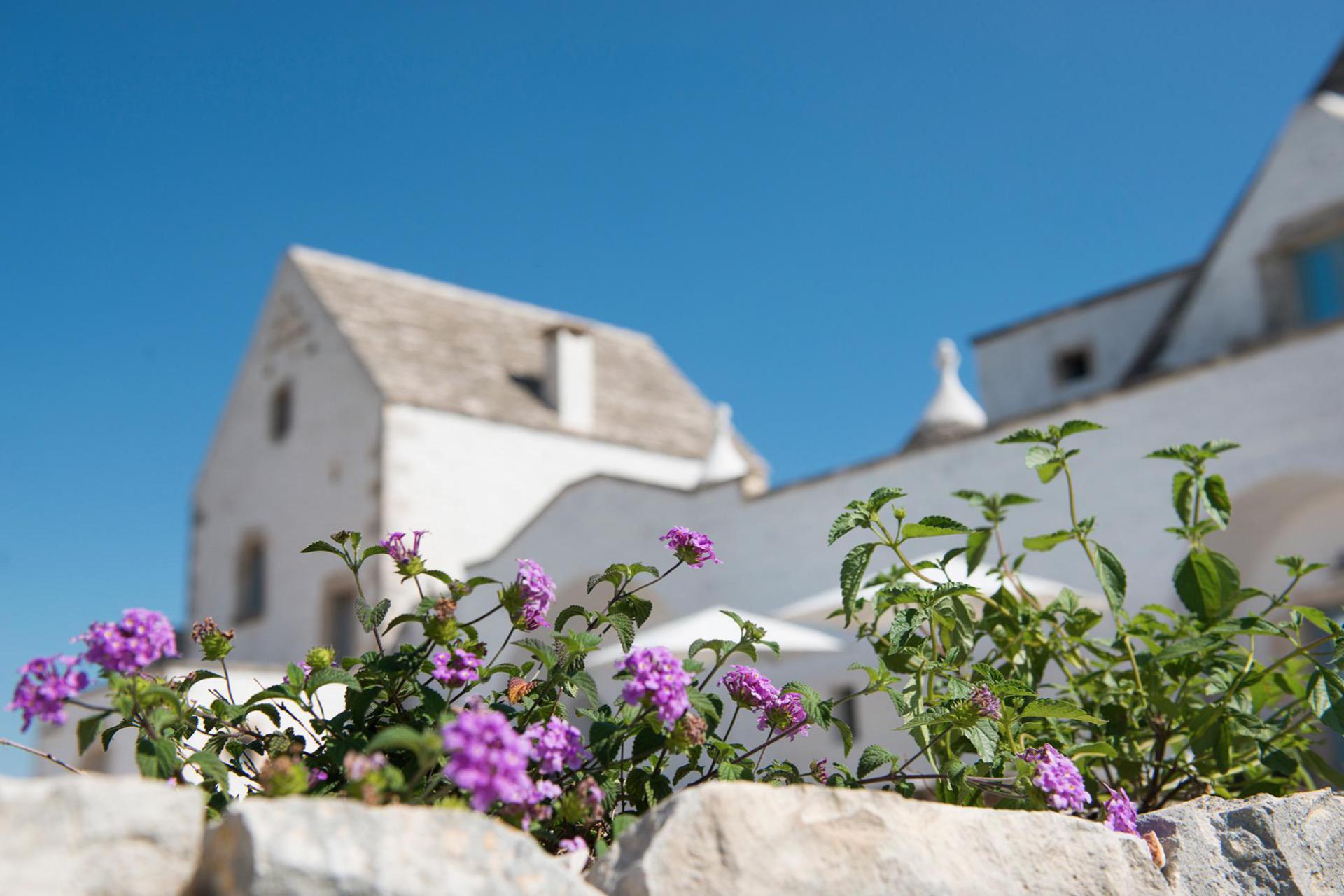 Agriturismo Puglia, suite in trullo con vista