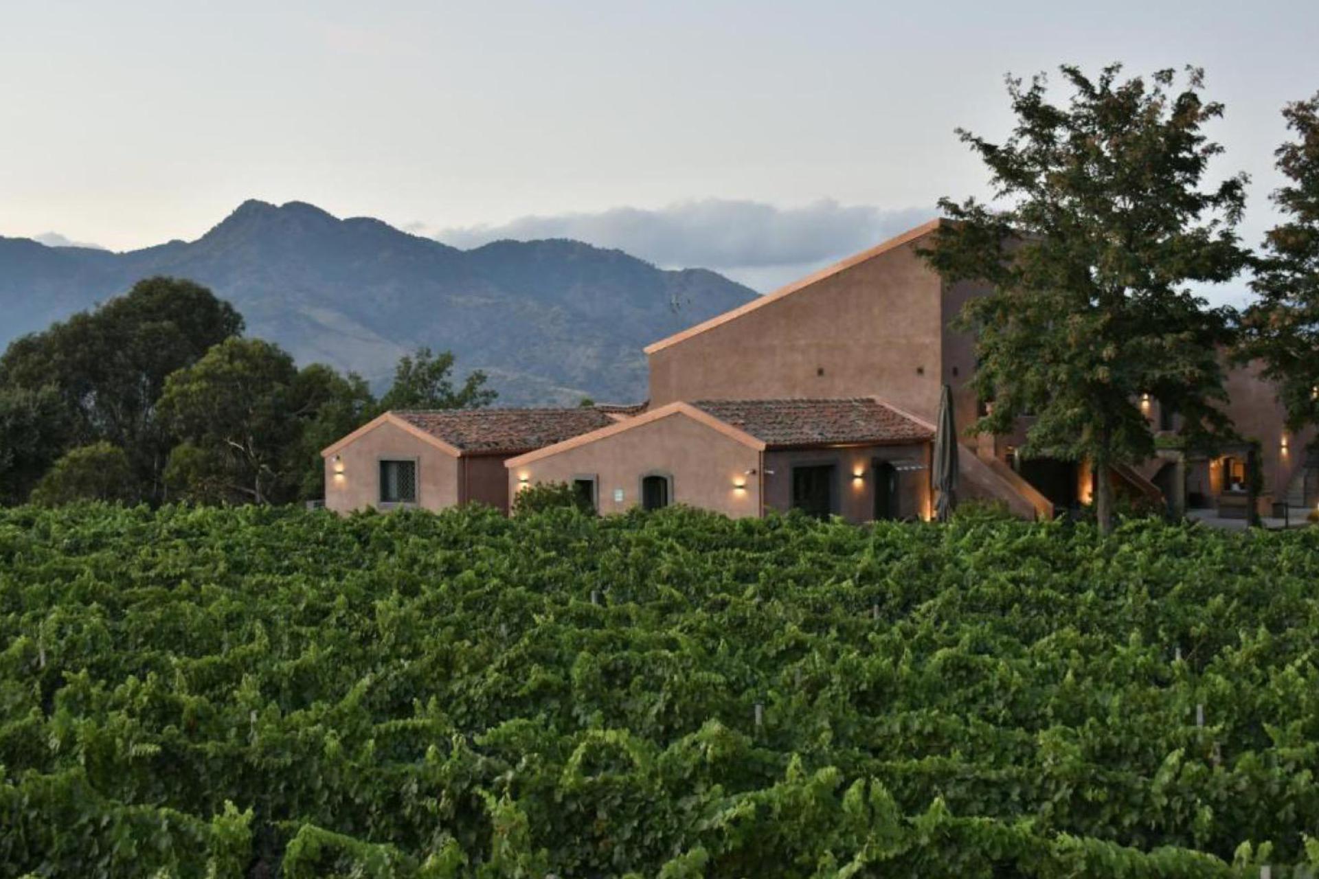 Agriturismo all'Etna per gli amanti del vino